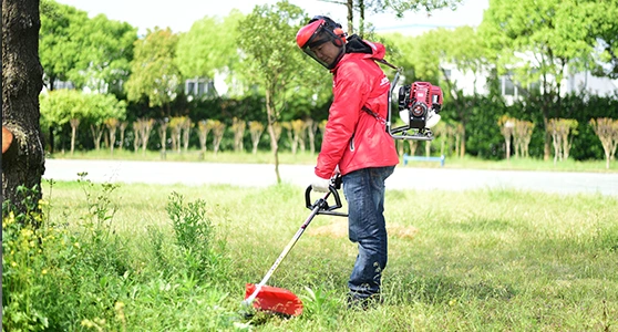 Brush Cutter